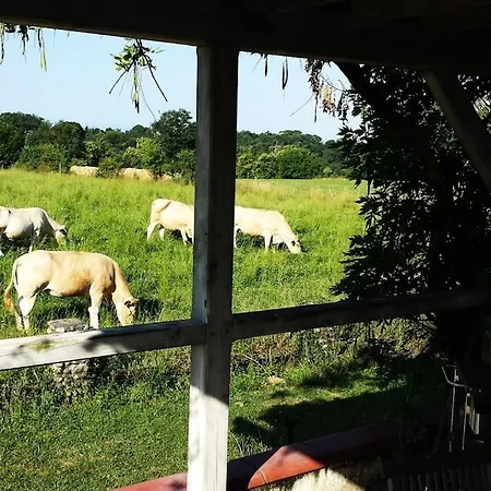 Maison De Maitre En Campagne Proximite Montagne Et Pau Bournos